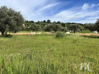 /international/fr/tavernes-provence-alpes-cote-d-azur-310099619512/