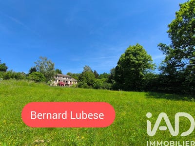 /international/fr/magnat-l-etrange-limousin-310108555713/