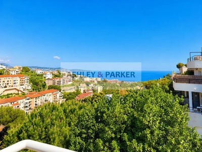 /international/fr/nice-provence-alpes-cote-d-azur-310108553976/