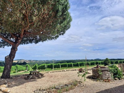 /international/fr/valence-sur-baise-midi-pyrenees-310109922104/