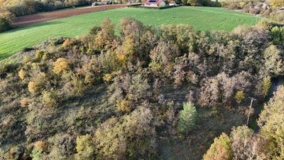 /international/fr/le-vigan-midi-pyrenees-310104893362/