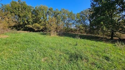 /international/fr/la-salvetat-belmontet-midi-pyrenees-310105833204/