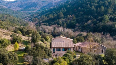 /international/fr/limoux-languedoc-roussillon-310099574610/
