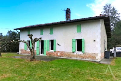 /international/fr/louchats-aquitaine-310108481282/