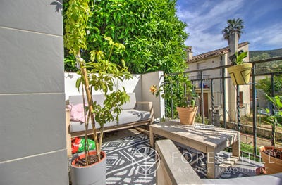 /international/fr/ceret-languedoc-roussillon-310105831832/