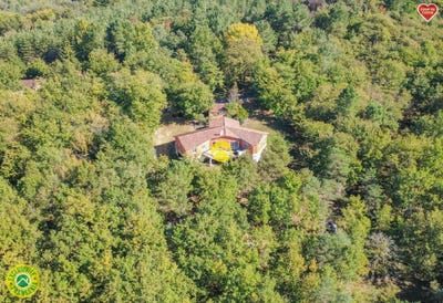 /international/fr/le-buisson-de-cadouin-aquitaine-310119996073/