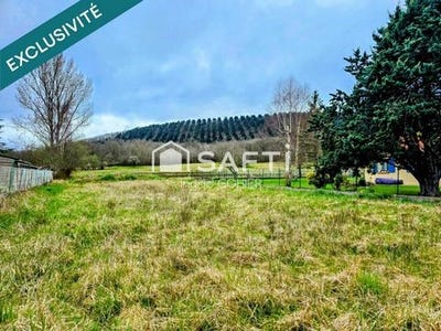 /international/fr/laroque-d-olmes-midi-pyrenees-310106067347/
