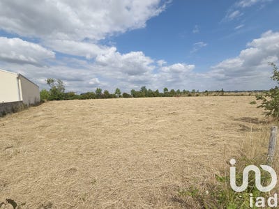 /international/fr/montournais-pays-de-la-loire-310106993260/