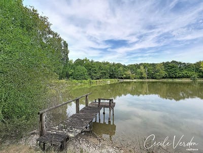 /international/fr/razac-de-saussignac-aquitaine-310109558844/
