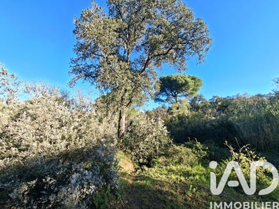 /international/fr/argeles-sur-mer-languedoc-roussillon-310106569476/