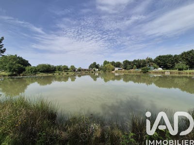 /international/fr/sevremoine-pays-de-la-loire-310108516743/