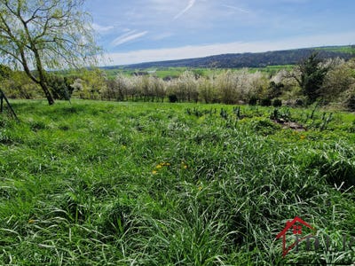 /international/fr/laferte-sur-amance-ardennes-310094696475/