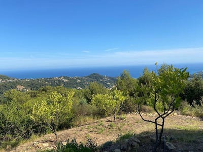 /international/fr/menton-hh-15321523-menton-provence-alpes-cote-d-azur-310100953367/