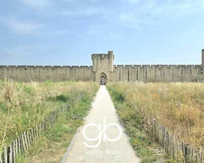 /international/fr/aigues-mortes-languedoc-roussillon-310101336059/?lang=it