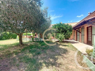 /international/fr/comps-rhone-310100829053/