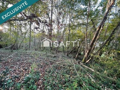 /international/fr/saint-chamassy-aquitaine-120096364663/