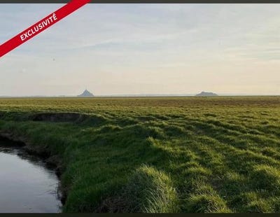 /international/fr/genets-la-basse-normandie-310107473382/
