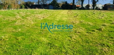 /international/fr/vallet-pays-de-la-loire-310107941981/