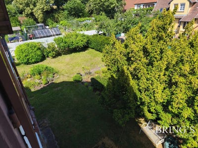 /international/fr/wingen-sur-moder-alsace-310100735238/?lang=zh-cn