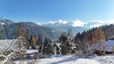 /international/fr/les-gets-rhone-310100607854/
