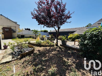 /international/fr/vair-sur-loire-pays-de-la-loire-310100990822/