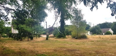/international/fr/lamotte-beuvron-centre-val-de-loire-310104463741/