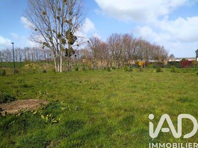 /international/fr/criquetot-sur-ouville-upper-normandy-310108366725/