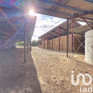 /international/fr/nuaille-d-aunis-charente-310102273417/