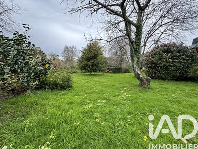 /international/fr/la-foret-fouesnant-brittany-310106793939/