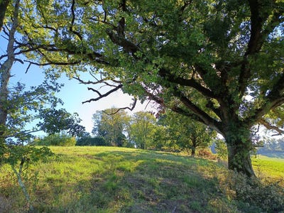 /international/fr/montdurausse-midi-pyrenees-310107555327/