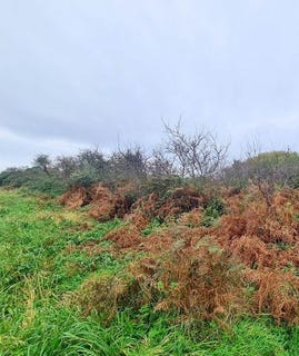 /international/fr/crozon-brittany-120094943887/