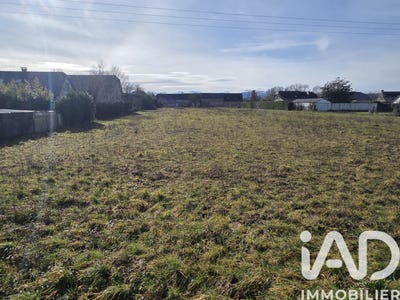 /international/fr/ibos-midi-pyrenees-310105239770/