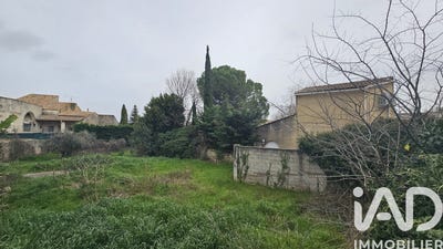 /international/fr/lirac-languedoc-roussillon-310107490490/