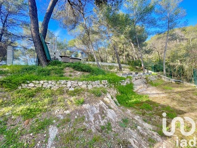 /international/fr/blausasc-provence-alpes-cote-d-azur-310100934338/