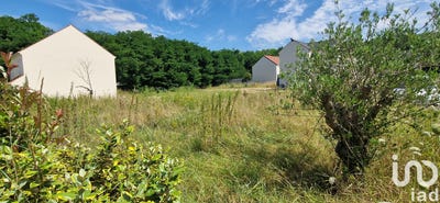 /international/fr/isles-les-meldeuses-ile-de-france-310105246891/