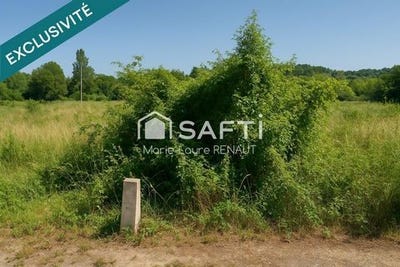 /international/fr/graulhet-midi-pyrenees-310105102341/