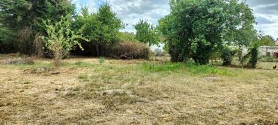 /international/fr/port-de-piles-charente-310108114311/