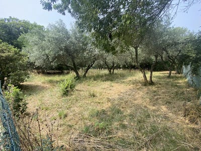 /international/fr/montignargues-languedoc-roussillon-310104009636/