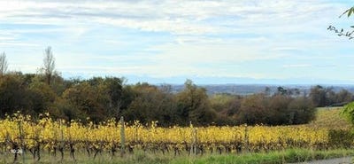 /international/fr/panjas-midi-pyrenees-310103516589/