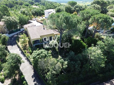 /international/fr/connaux-languedoc-roussillon-310109109869/