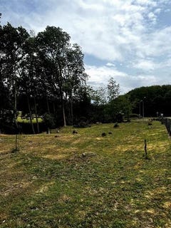 /international/fr/neuilly-saint-front-picardie-310103042088/