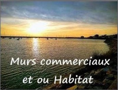 /international/fr/jard-sur-mer-pays-de-la-loire-310108972096/