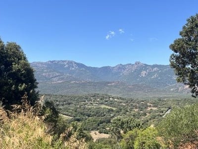 /international/fr/figari-corsica-310107839281/