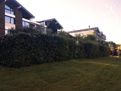 /international/fr/chambery-rhone-310108596865/?lang=fr