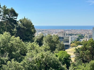 /international/fr/nice-provence-alpes-cote-d-azur-310101414779/