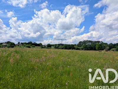 /international/fr/saint-remy-midi-pyrenees-310108043024/