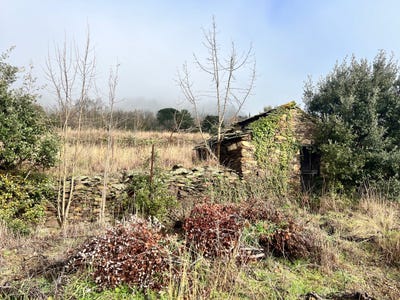 /international/fr/mons-charente-310106775324/