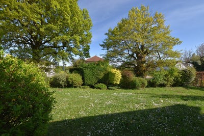 /international/fr/segny-rhone-310097747116/