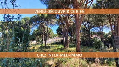 /international/fr/agde-languedoc-roussillon-310107427971/