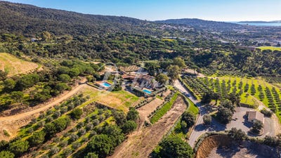 /international/fr/sainte-maxime-provence-alpes-cote-d-azur-310108997333/